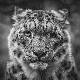 Маргоша 💜 TV