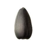 PHARMASS| Анаболики, Сустанол, Данабол