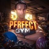 Perfect Gym