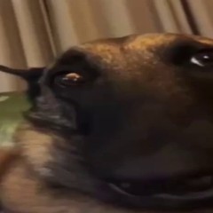 🥥𝗳𝗿ū𝘁į𝗸𝘅𝗳𝗿ü𝗻𝘁ï🥥