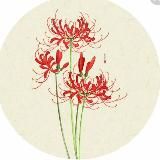 Ликорис-kamchatka 🌸 (Новое поколение)