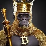 First Capital - Nodes|Testnet|Airdrops