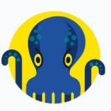 JetOctopus