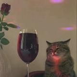 с любовью, Сара Адам