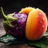 🔞PROJECT EXE 🔞