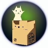 Что там у Somebody?