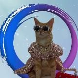 TECHNO 🚀 | Окрашивания спб