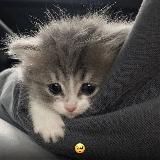 гача клуб/лайф ♡