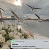 𝒍𝒊𝒔𝒔𝒘𝒆𝒎🪐