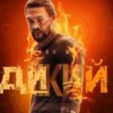 ⚡КАНАЛ ДИКИХ⚡