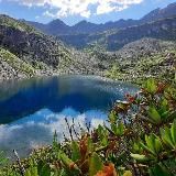 Туризм, Походы, Грибные туры