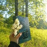 Приют грëз🫧