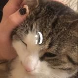 группа добрых друзей алисы саксон