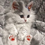 Тᴇʍы нᴀ ᴀйɸᴏн!💗