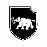 Танковий батальйон Третьої окремої штурмової бригади