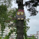 Зеленоград 20 микрорайон 🦉