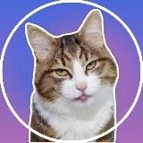 Video Stickers - Видео Стикеры - Гиф Стики