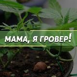 Мама, я гровер!