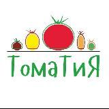 Семена 🍅ТоматиЯ🍅