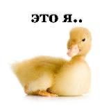 пиздец