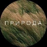 Проект ПРИРОДА