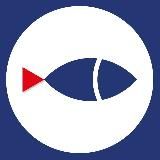 Рыбинская неделя