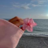 🌿𝙽𝚊𝚐𝚑𝚊𝚖 𝙰𝚛𝚝🌿Chat