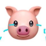 мемы из перехода