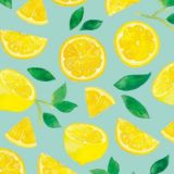 𝒪𝒷ℴ𝒾 🔗 ℬ𝓊ℴ𝓃 𝒹𝒾𝒶 🕊