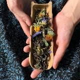 Зелёный Чердак | Изящество и буйство трав