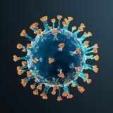 Сертификаты Covid