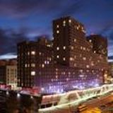 ТСН Да Винчи