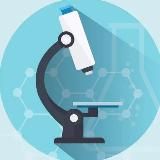 Владислав Пономарев