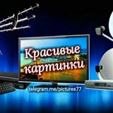 Красивые картинки