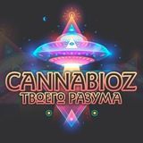 CANNABIOZ РАЗУМА ОТЗЫВЫ