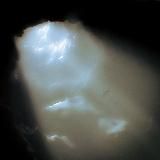 Pinesap ✝️🌲🍯