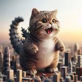 有故事的男童鞋