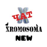 Чат XROMOSOMA 🔞