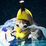 приключения китиков