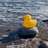 промокаш фм 🎤🗿