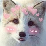 Дом Лисят | Home Foxes