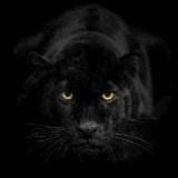 КАРАТЕЛИ ГРОДНО И ДРУГОЕ 👁👁