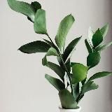 NO FACE!!! Одежда и товары для дома