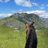 АВАР | Конные походы по Дагестану