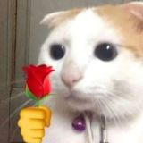 Украдено с Reddit