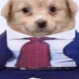 Неуютный канальчик cryzera 🪺