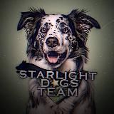 𝙎𝙩𝙖𝙧𝙡𝙞𝙜𝙝𝙩_𝙙𝙤𝙜𝙨_𝙩𝙚𝙖𝙢🌤