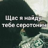 Homo Decompensapiens