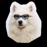 Mailfit — блог о CRM