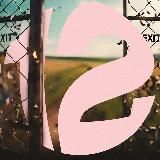 twelve.yo